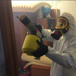 Уничтожение клопов в квартире. Шеметово